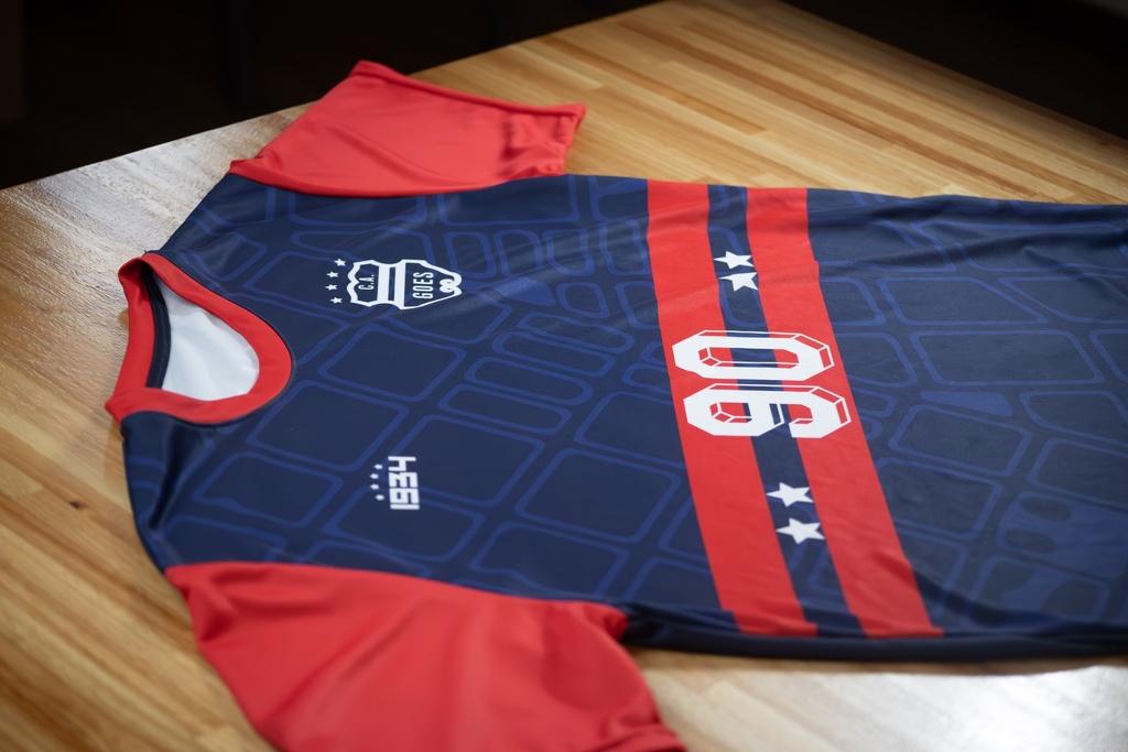 Remera de Calentamiento Liga de Ascenso 2024 de Mayores descuento para socios